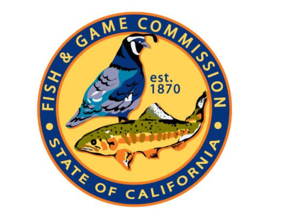Department of Fish and Game logo